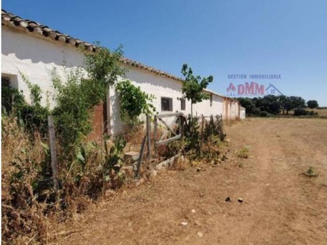 Terreno en Venta en Malagón