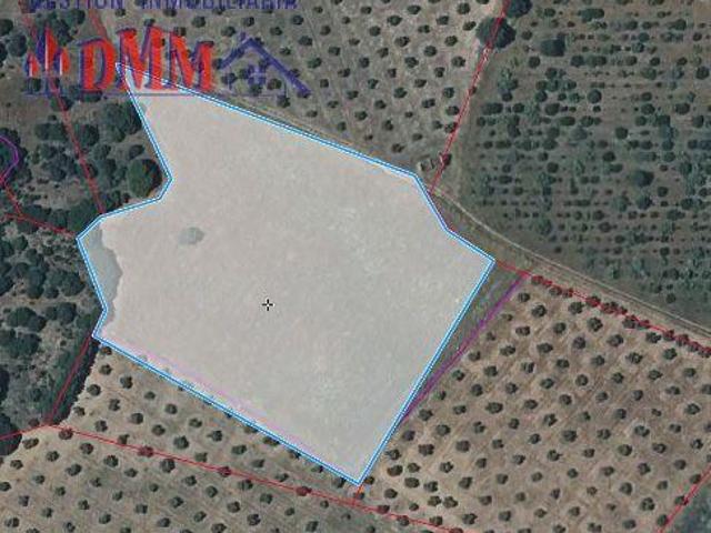 Terreno en venta en Malagón, Malagon
