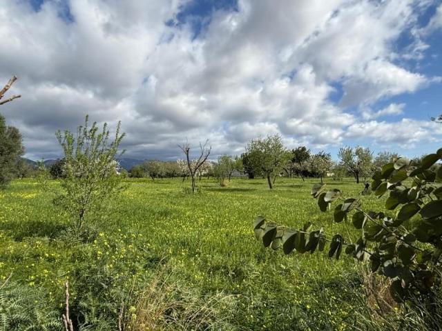 Terreno en venta en Mallorca, Son Espanyol