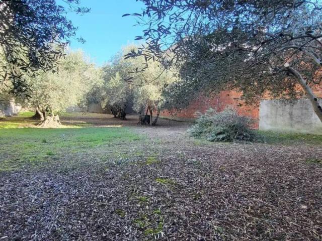 Terreno en Venta en Malpartida de Plasencia