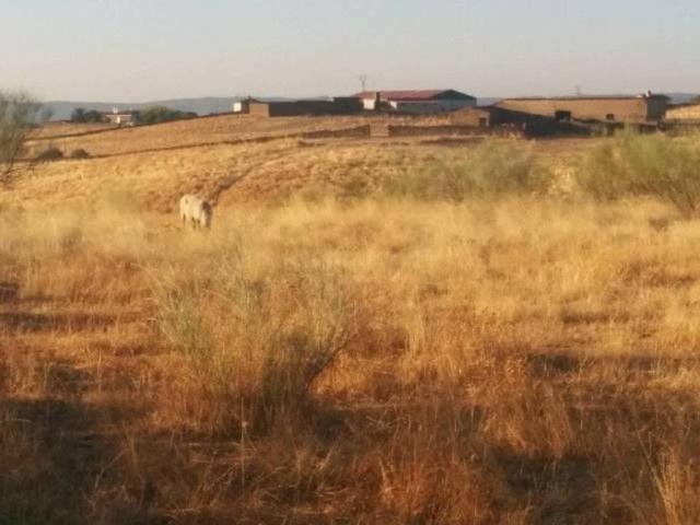 Terreno en Venta en Malpartida de Plasencia