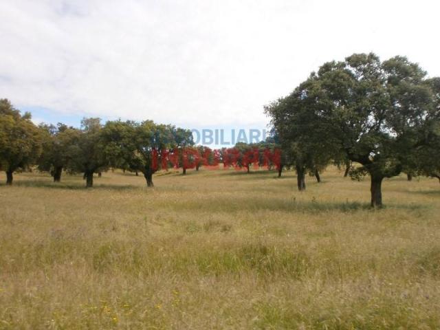 Terreno en Venta en Malpartida de Plasencia