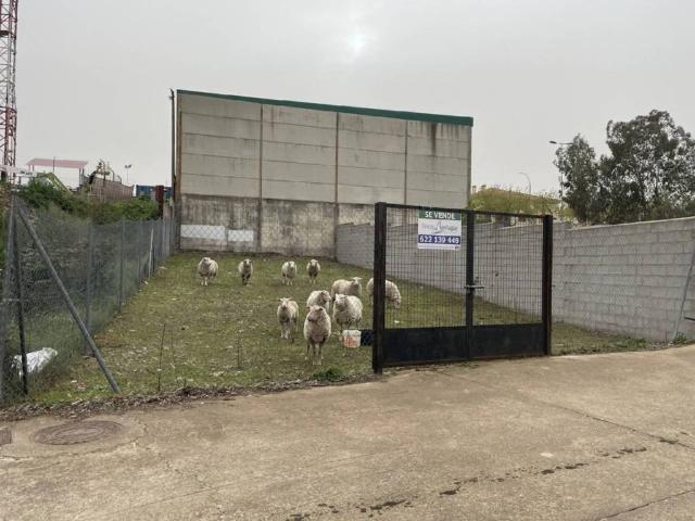 Terreno en Venta en Malpartida de Plasencia