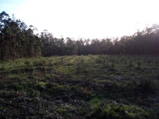 Terreno en Venta en Malpica de Bergantiños