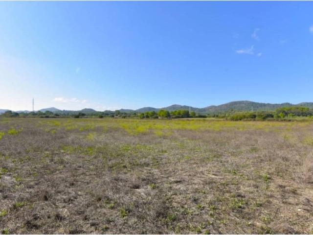 Terreno en Venta en Manacor