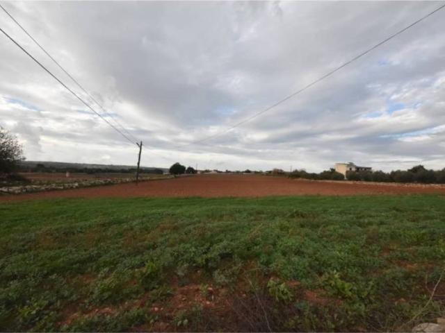 Terreno en Venta en Manacor