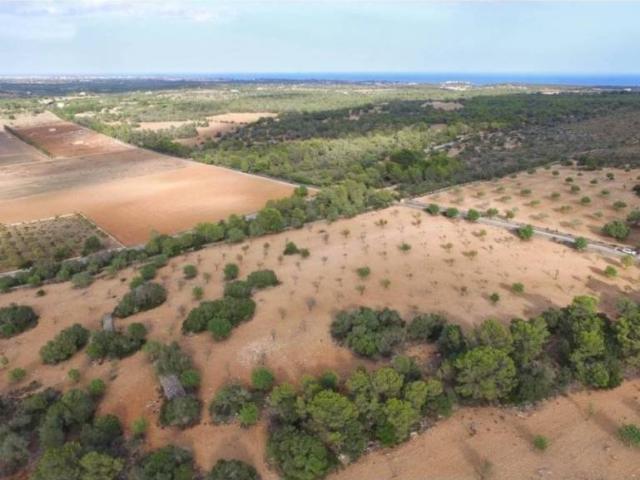 Terreno en Venta en Manacor