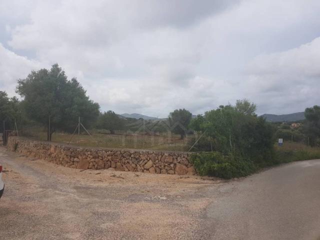 Terreno en Venta en Manacor