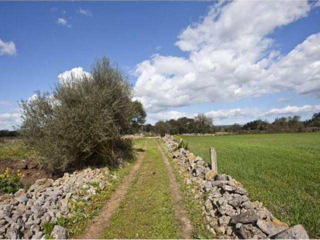 Terreno en Venta en Manacor