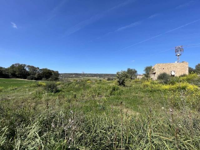 Terreno en Venta en Manacor