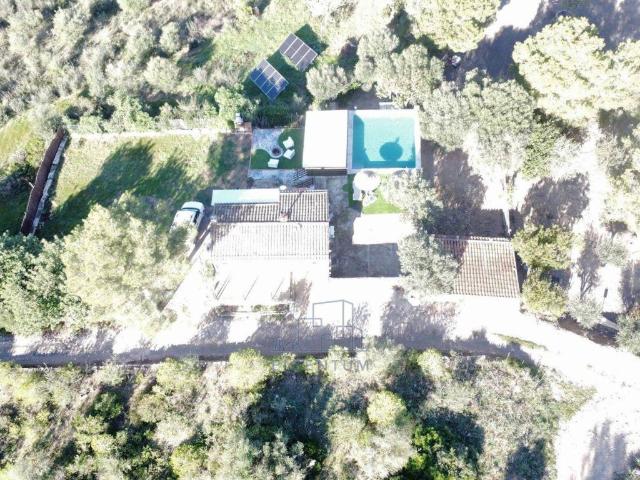 Terreno en Venta en Manacor