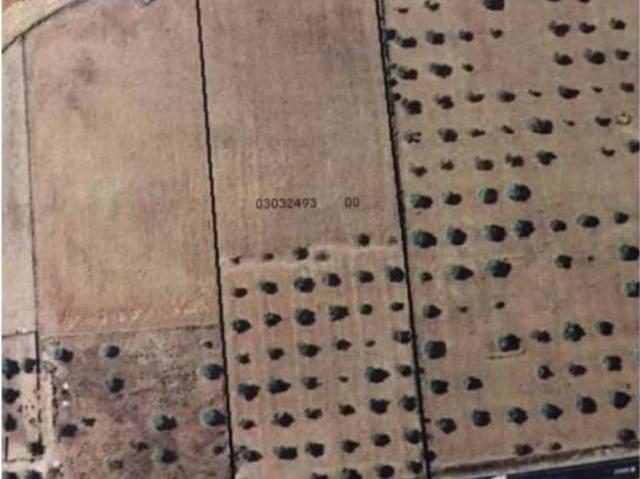 Terreno en Venta en Manacor