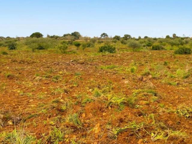 Terreno en Venta en Manacor