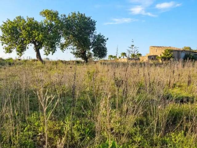 Terreno en Venta en Manacor