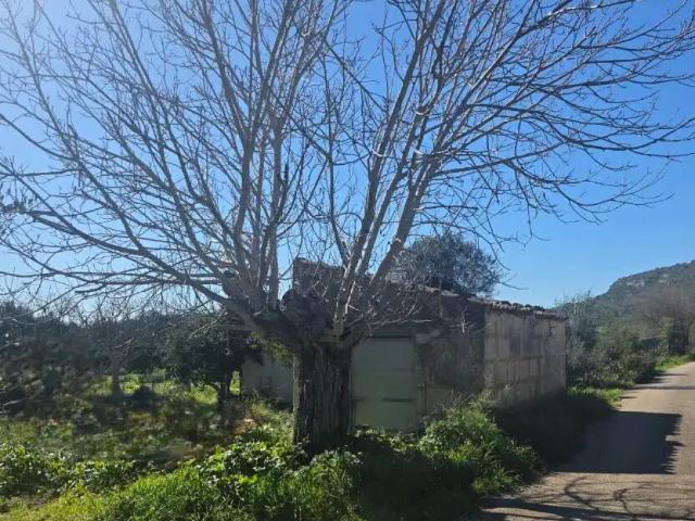 Terreno en Venta en Manacor