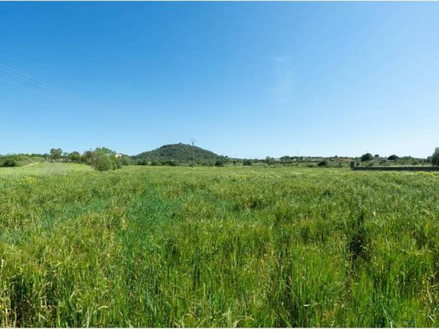 Terreno en Venta en Manacor