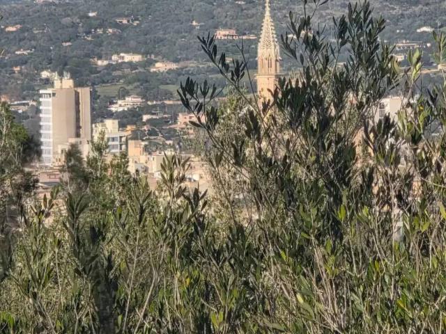 Terreno en Venta en Manacor