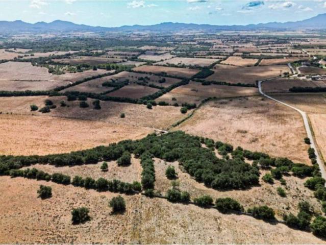 Terreno en Venta en Manacor