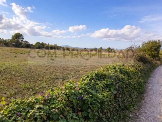 Terreno en Venta en Manacor