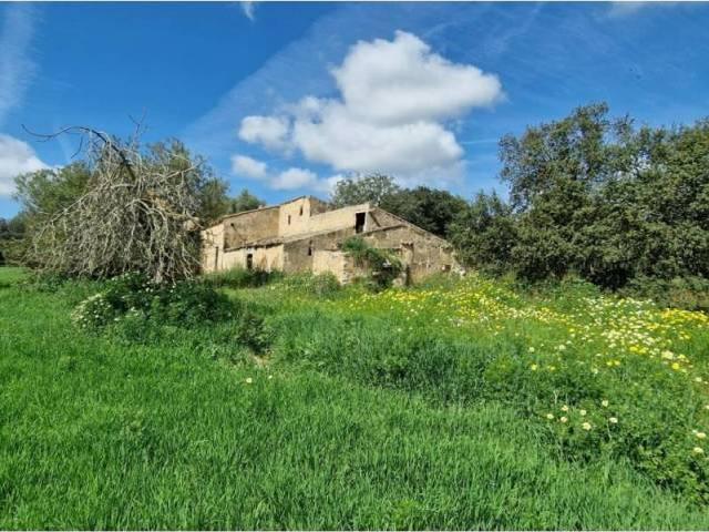 Terreno en Venta en Manacor
