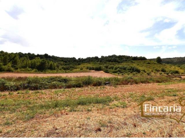 Terreno en Venta en Manacor