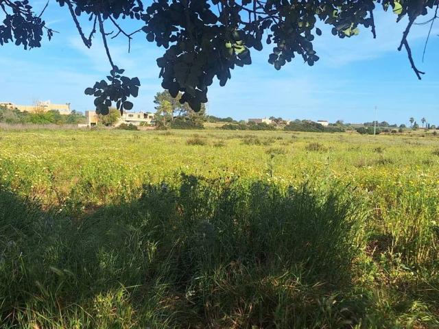 Terreno en Venta en Manacor