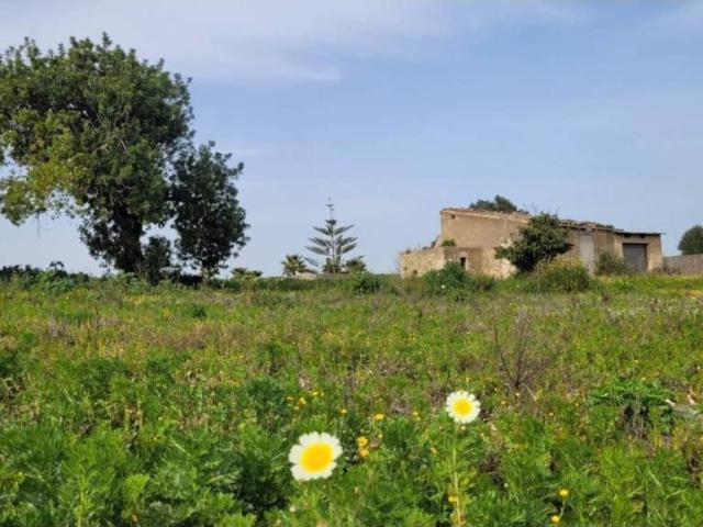 Terreno en Venta en Manacor