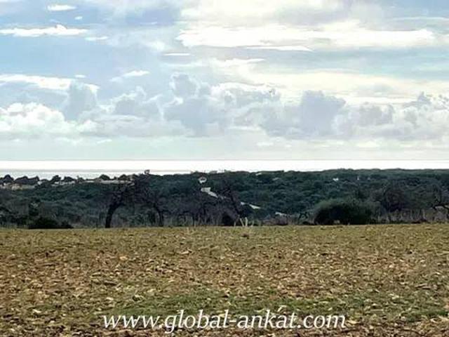 Terreno en Venta en Manacor