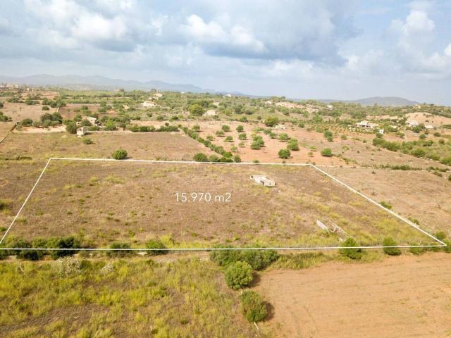 Terreno en Venta en Manacor