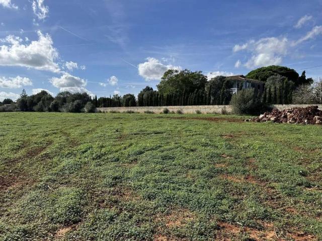 Terreno en Venta en Manacor