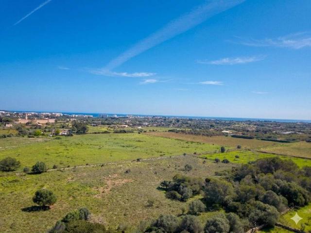 Terreno en Venta en Manacor
