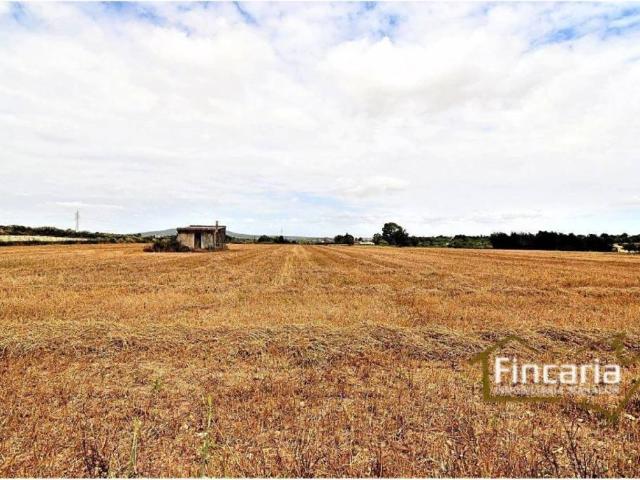 Terreno en Venta en Manacor