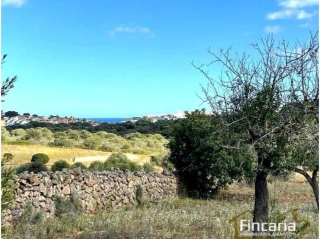 Terreno en Venta en Manacor