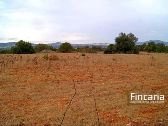 Terreno en Venta en Manacor
