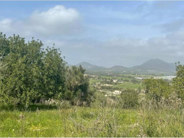 Terreno en Venta en Manacor