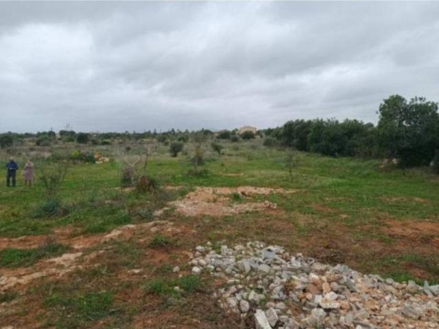 Terreno en Venta en Manacor