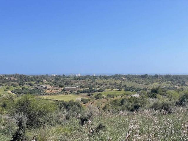 Terreno en Venta en Manacor