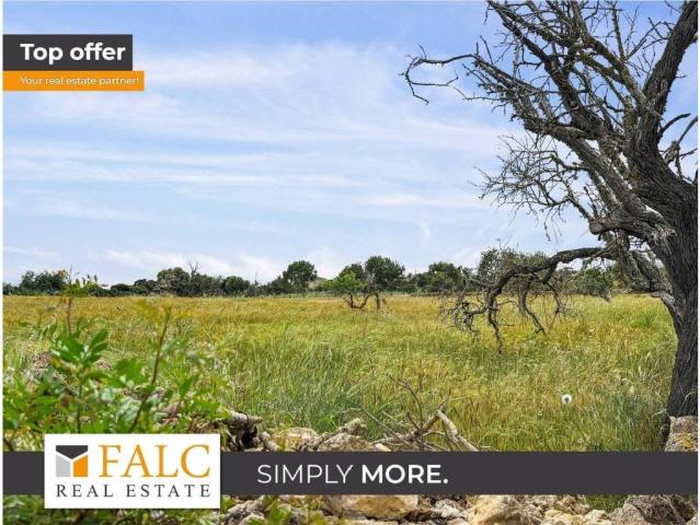 Terreno en Venta en Manacor