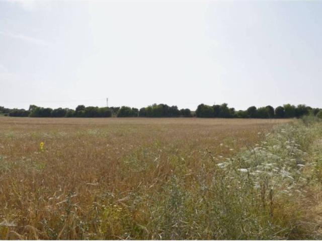 Terreno en Venta en Manacor