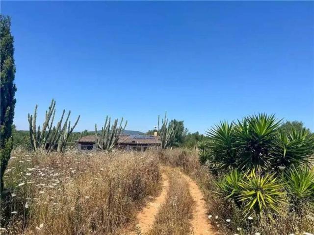 Terreno en Venta en Manacor