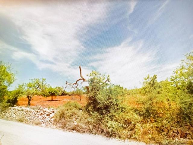 Terreno en Venta en Manacor