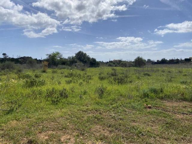 Terreno en Venta en Manacor