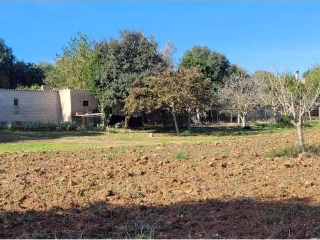 Terreno en Venta en Manacor