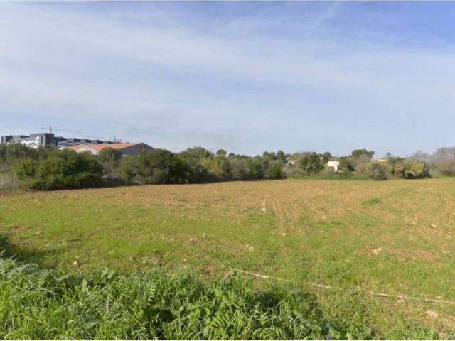 Terreno en Venta en Manacor
