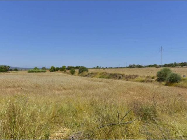 Terreno en Venta en Manacor