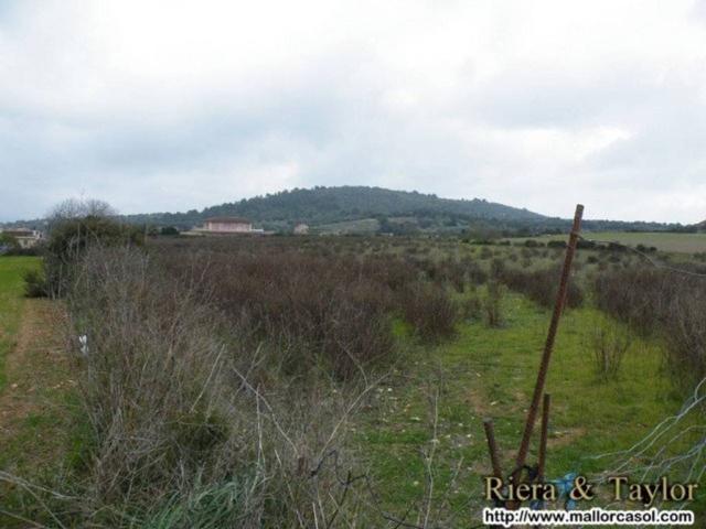 Terreno en Venta en Manacor