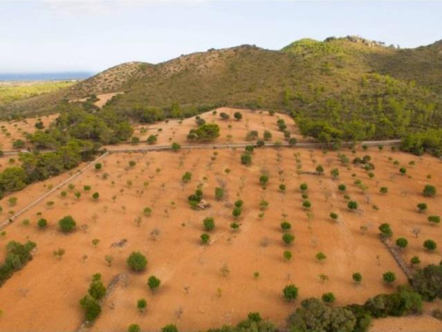 Terreno en Venta en Manacor