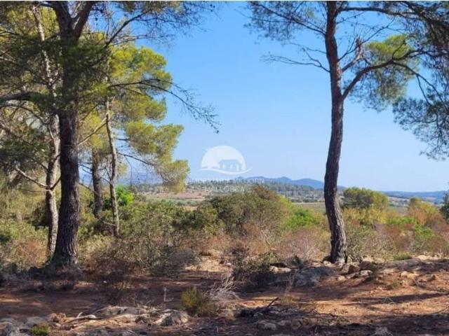 Terreno en Venta en Manacor