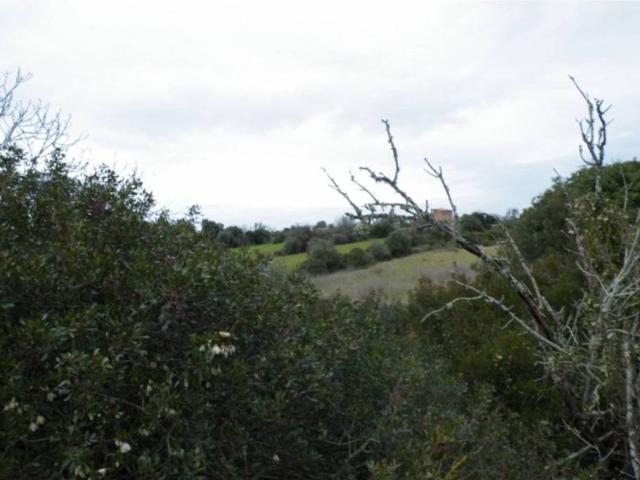Terreno en Venta en Manacor