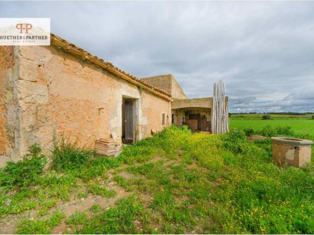 Terreno en Venta en Manacor